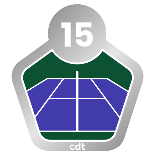 Badge Especialista em quadra rápida